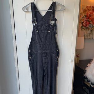 Free People Overalls